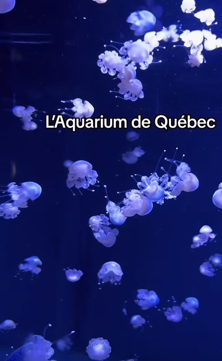 Aquarium du Québec