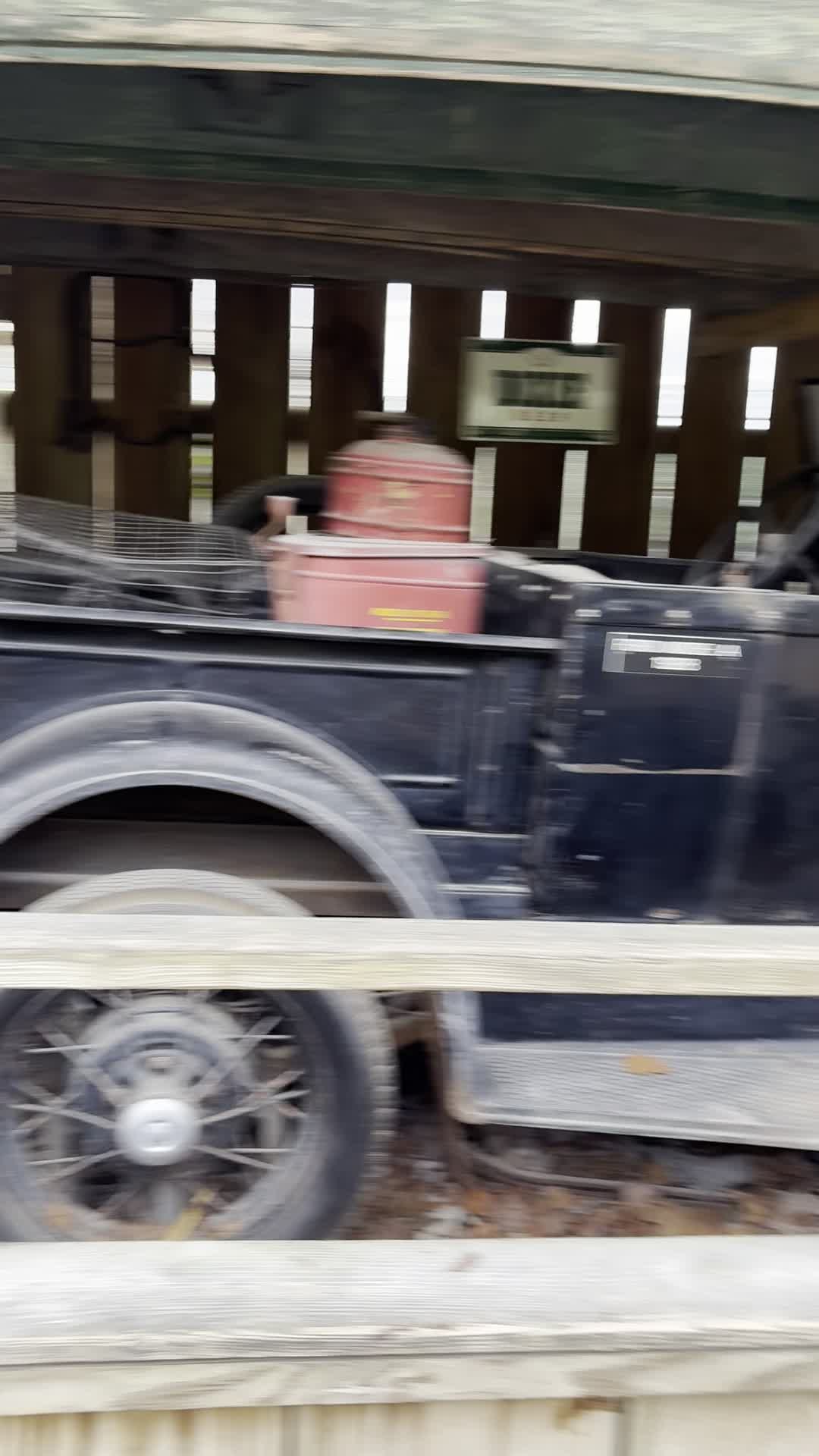 Video review of Audubon Zoo