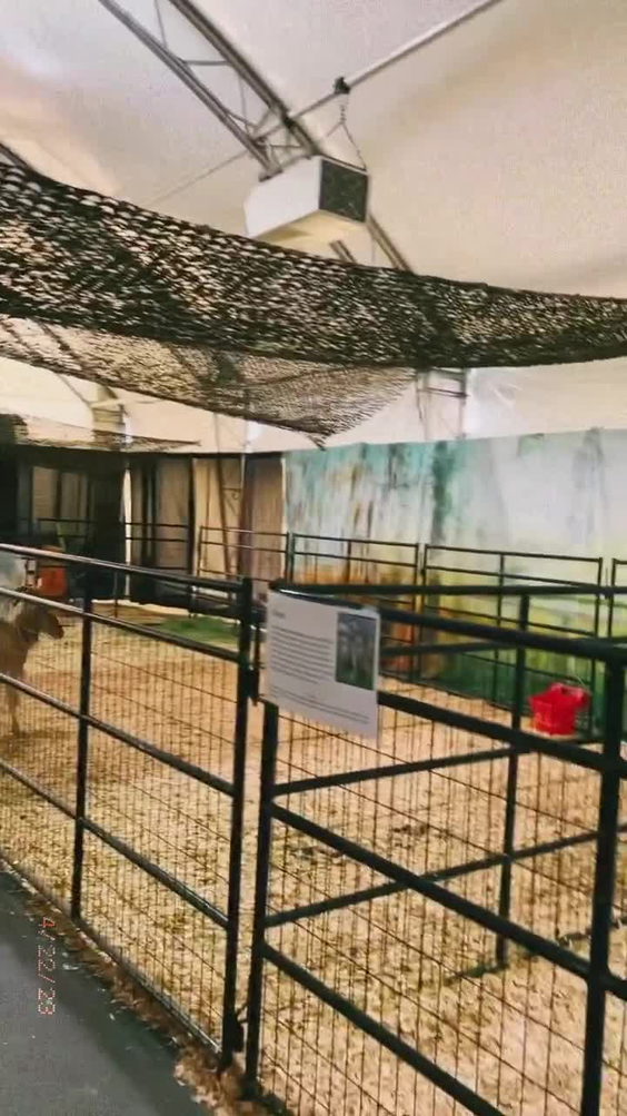 Fair Farm - Washington State Fair