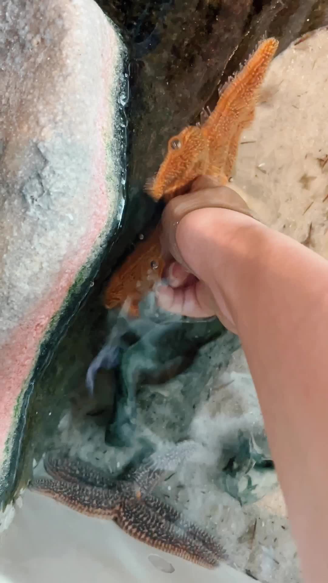 South Carolina Aquarium