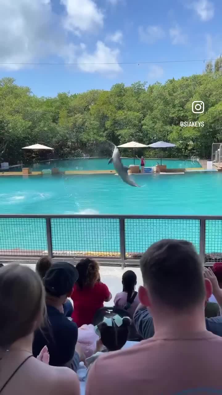 Miami Seaquarium