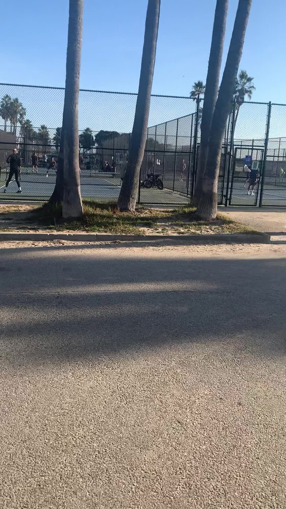 Venice Beach