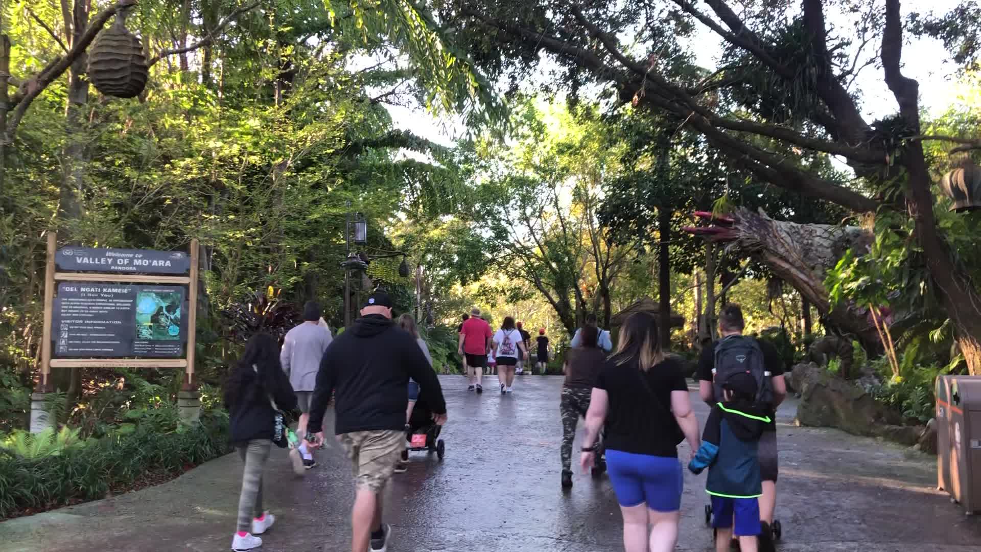 Pandora - The World of Avatar