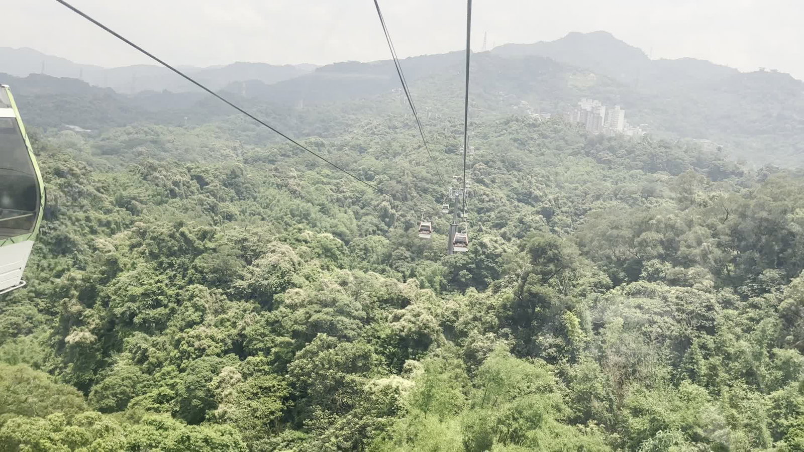 貓空 MaoKong