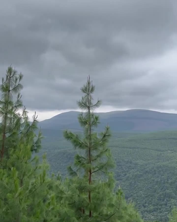 Misty Mountain Lodge