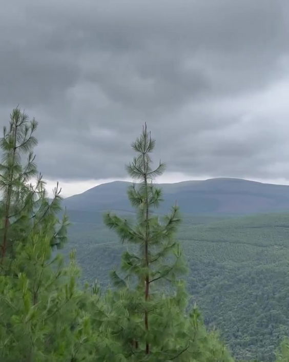 Misty Mountain Lodge