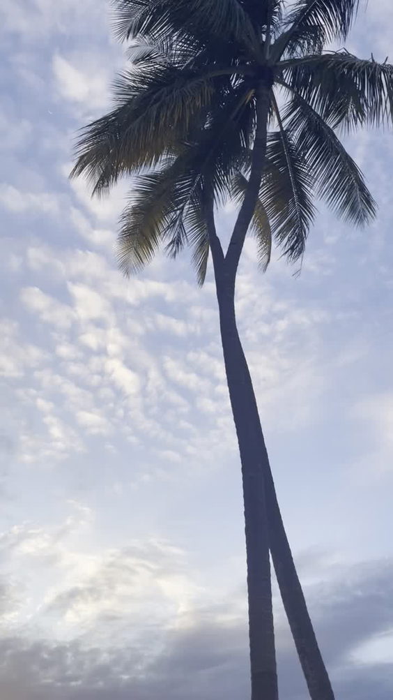 Dorado Beach, a Ritz Carlton Reserve