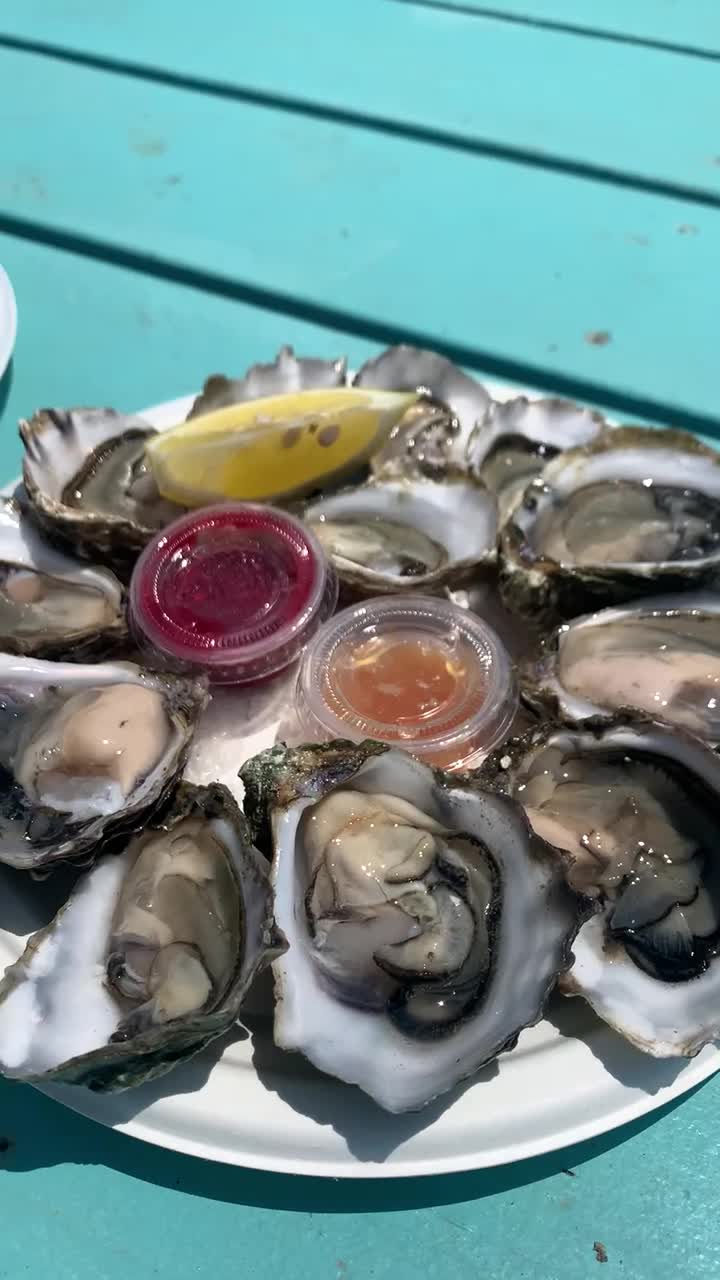 The Jolly Oyster