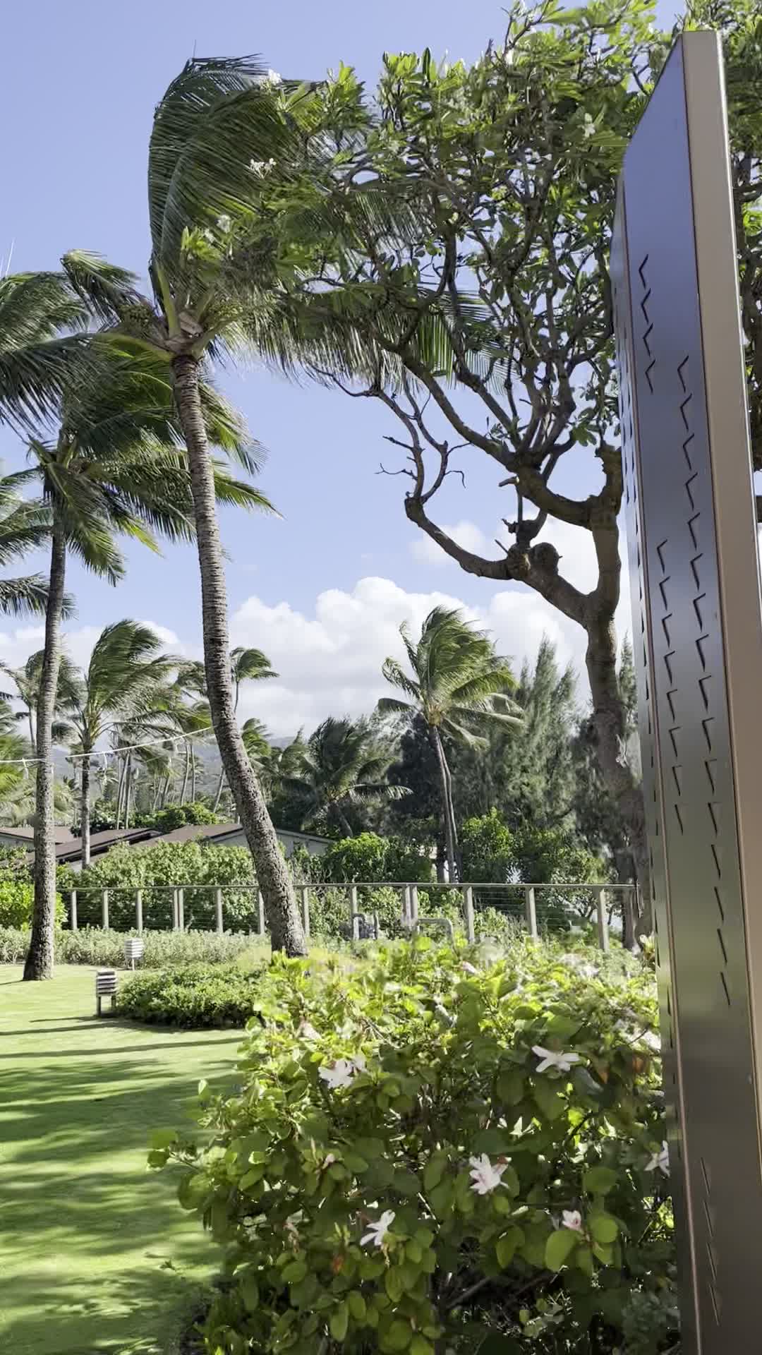 Video review of Poolside Turtle Bay Resort