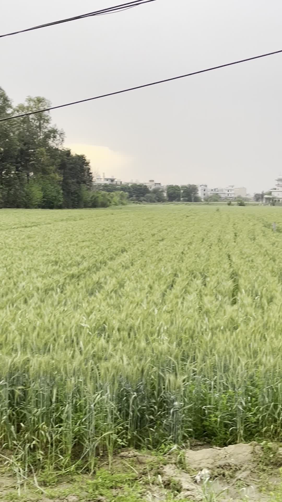 Jhankaar-The beat of LPU