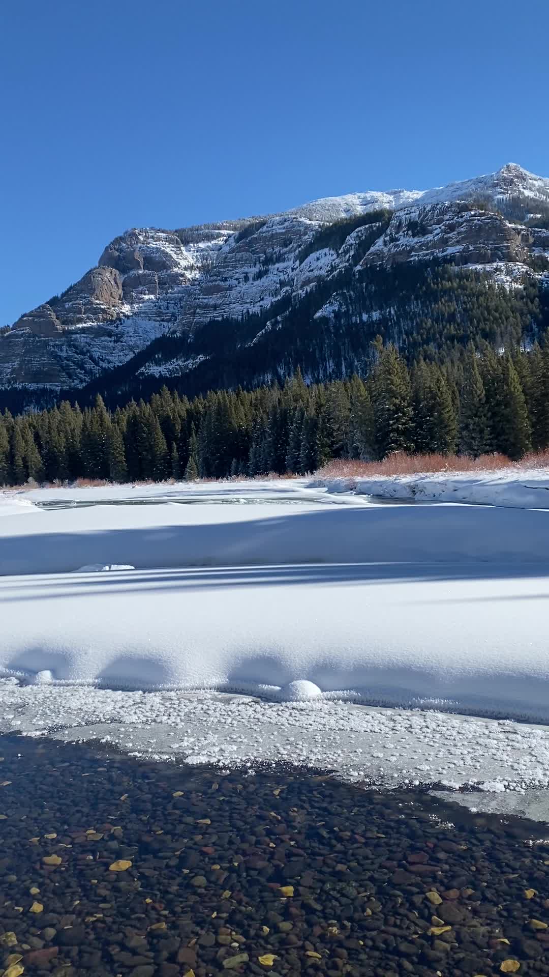 Yellowstone National Park