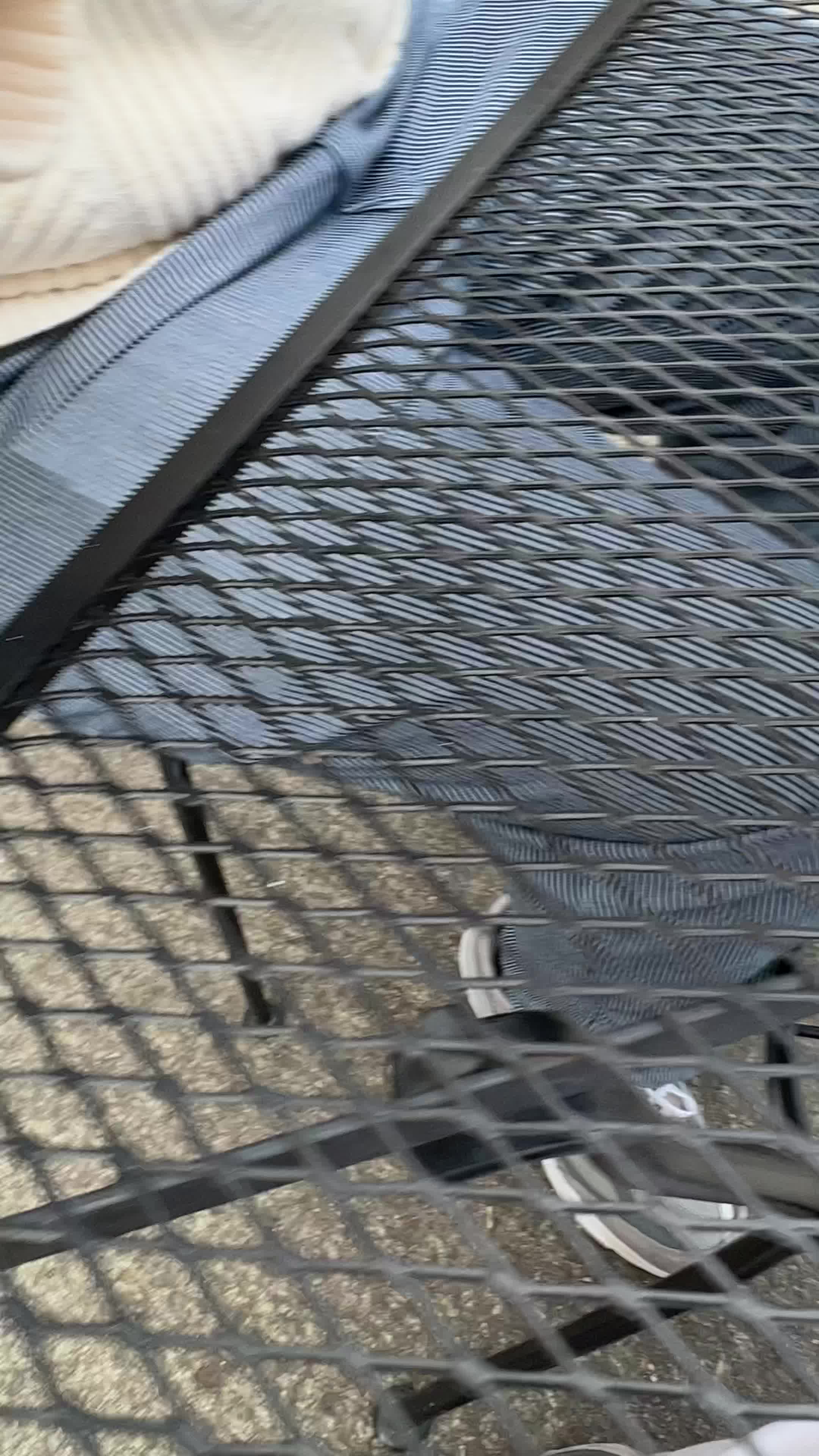 Video review of Glazed Over Donuts