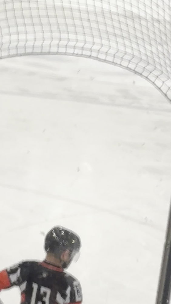 Birmingham Bulls Hockey