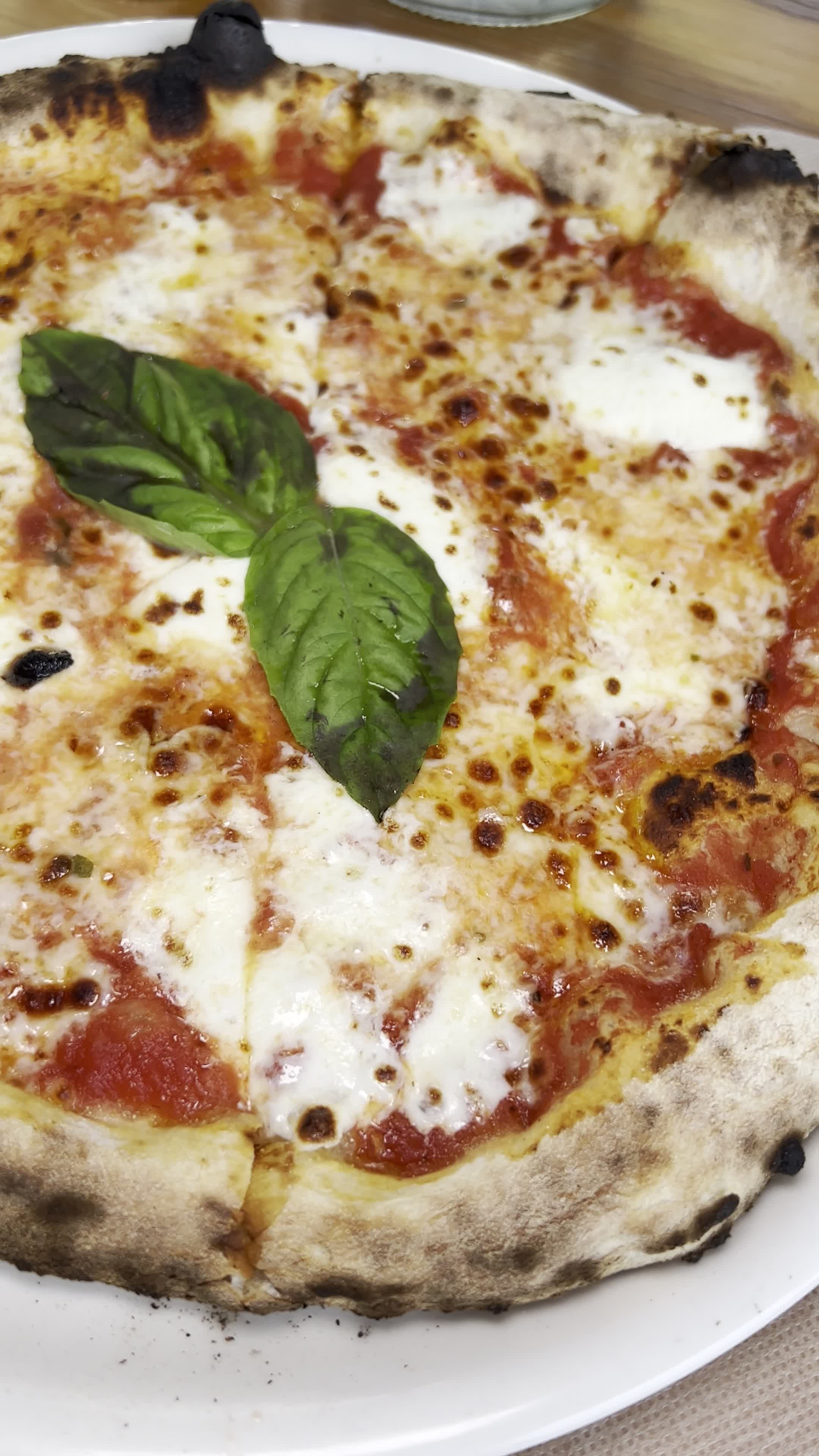 Coral House Italian Restaurant