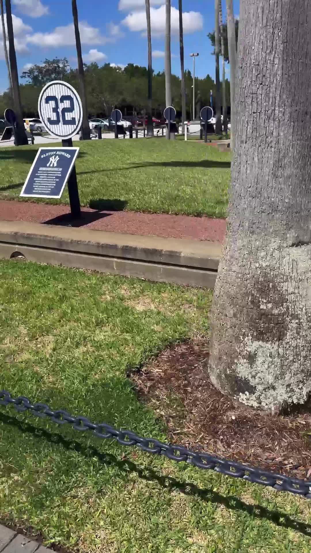 Video review of George M Steinbrenner Field