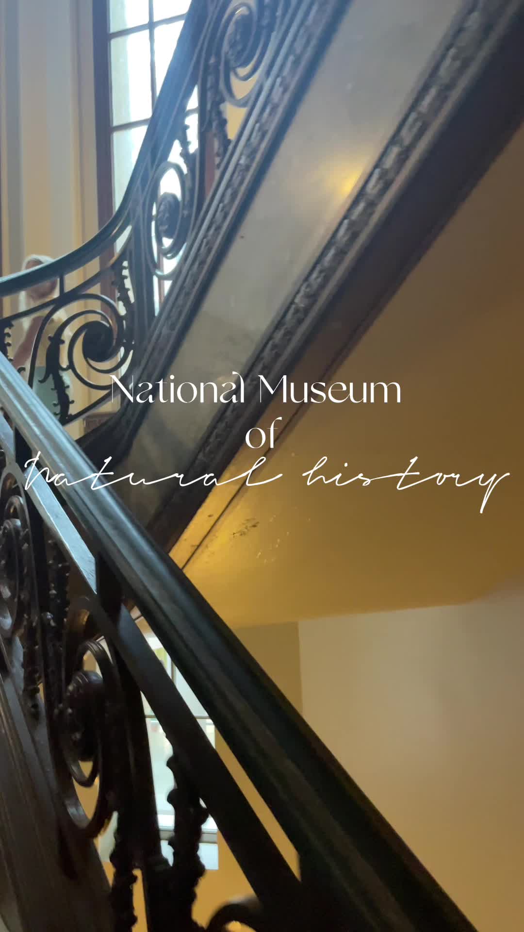 Video review of National Museum of Natural History