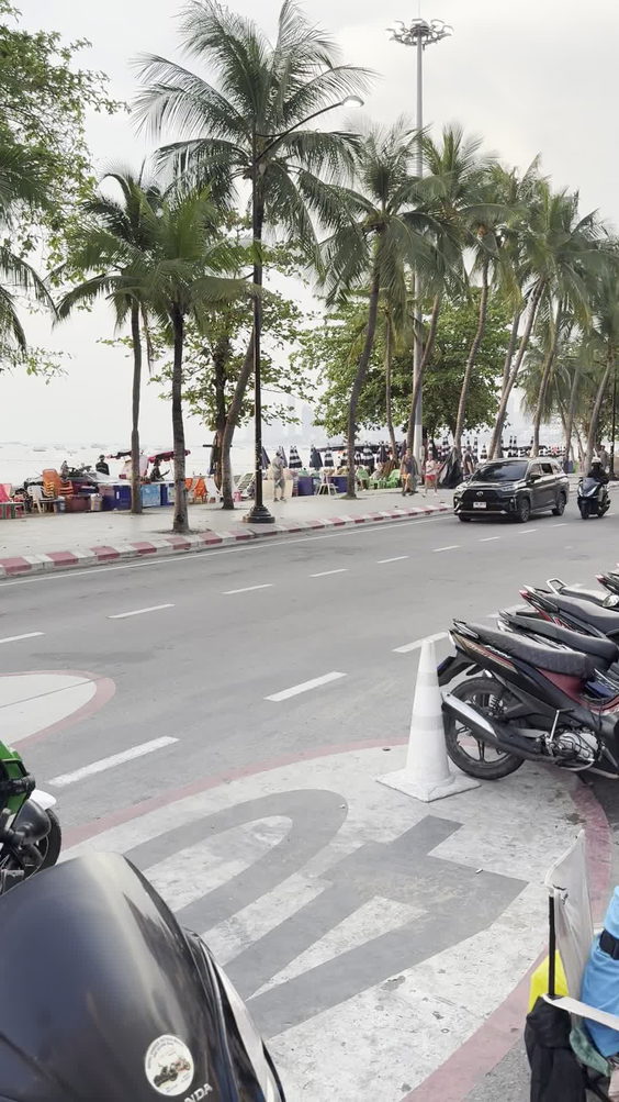 Tiger Park Pattaya