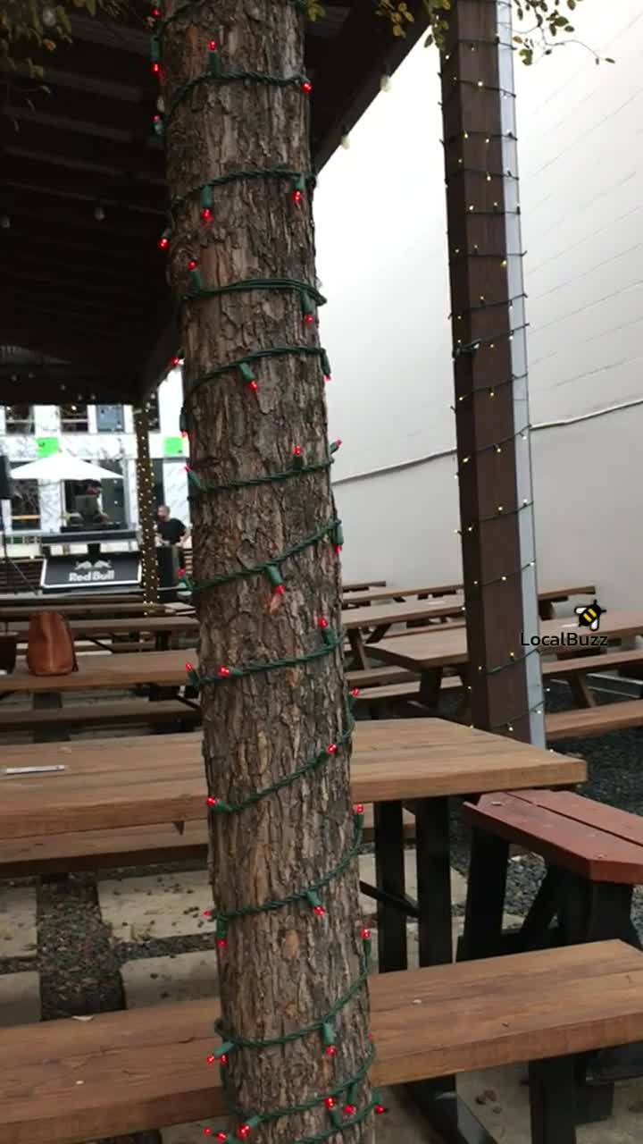 Video review of Revelry Kitchen + Bar