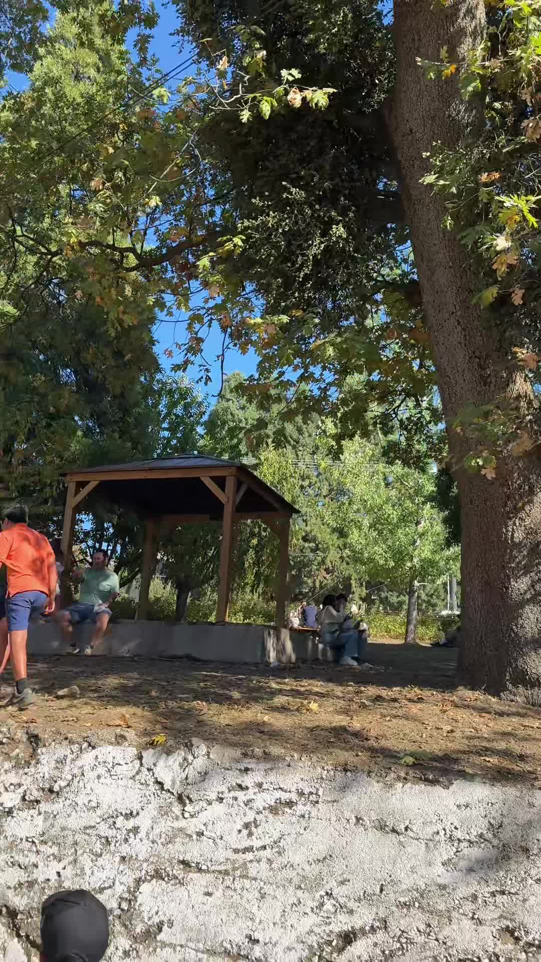 Video review of Oak Tree Village