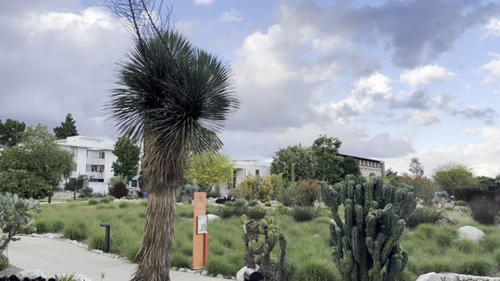 Pitzer College