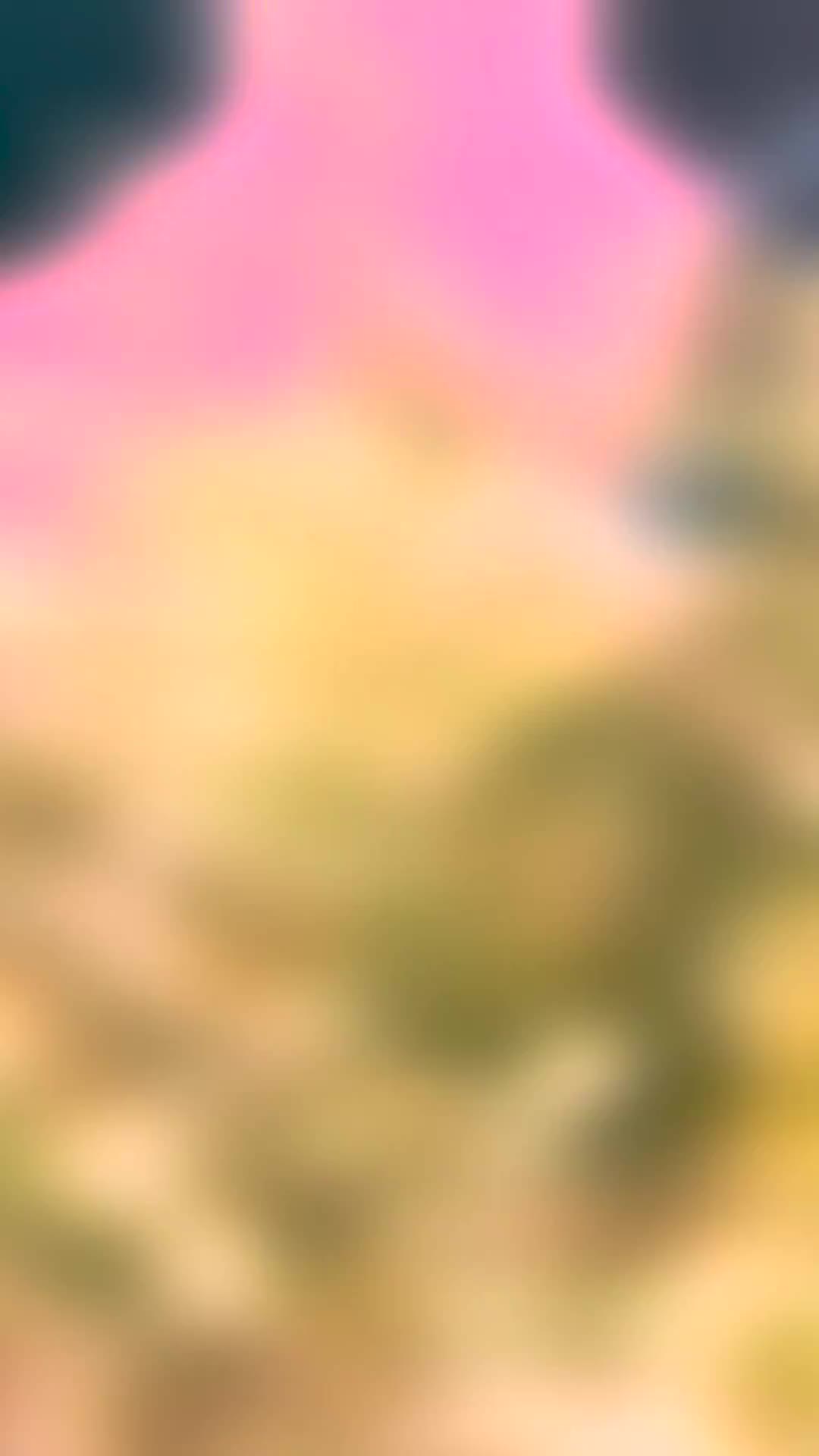 Beryl by sizzling bukhara- restaurant and bakery