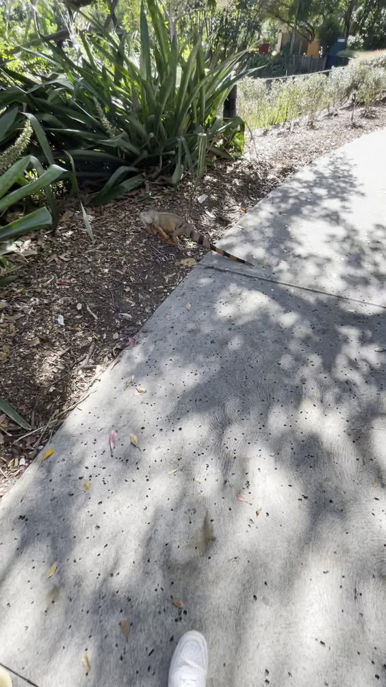 Zoo Miami
