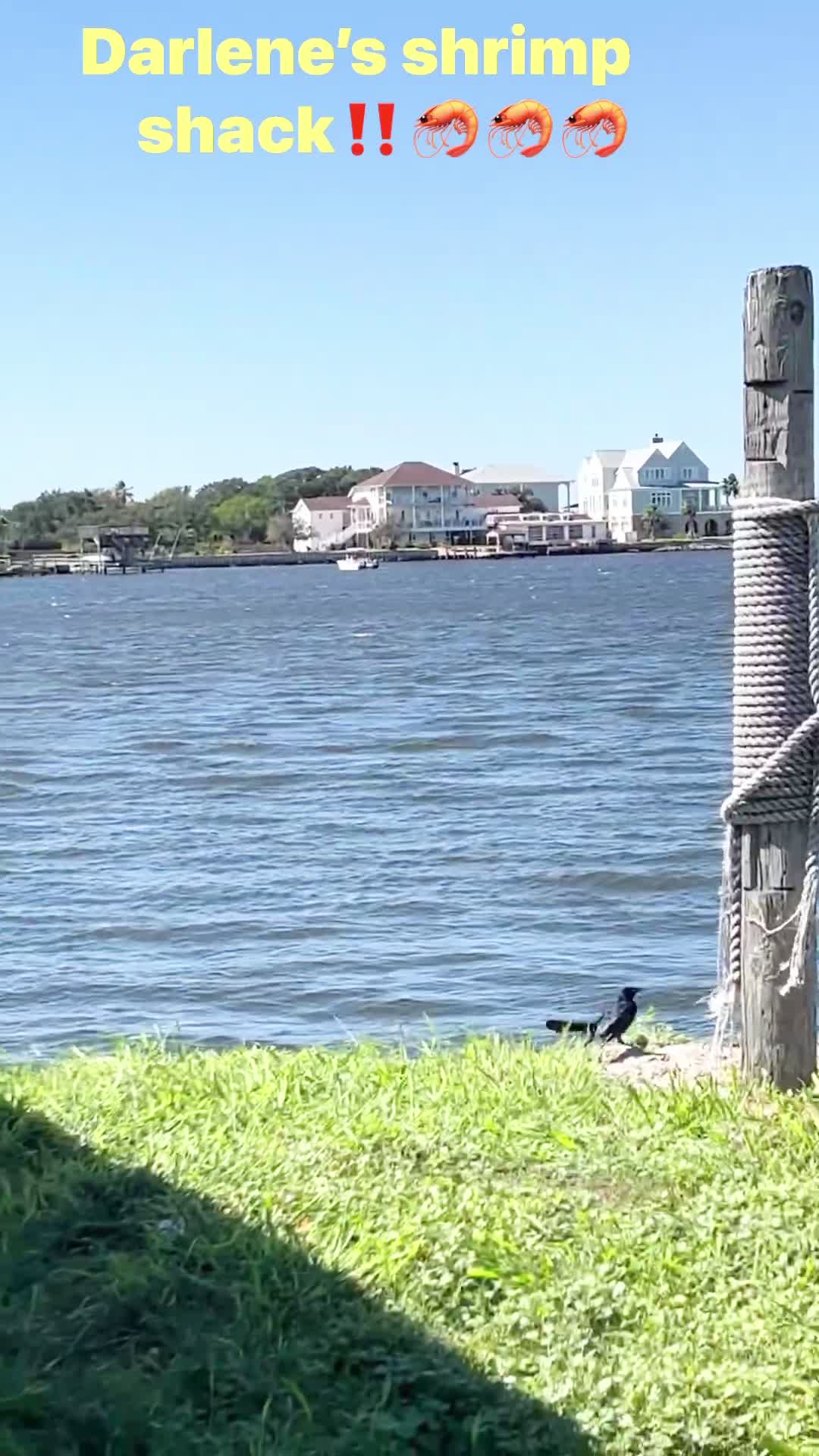 Darlene's Shrimp Shack