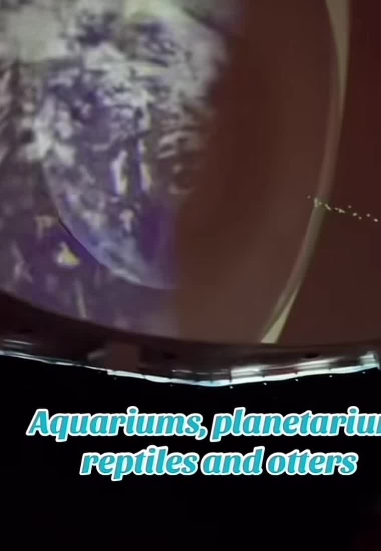 The Aquatarium