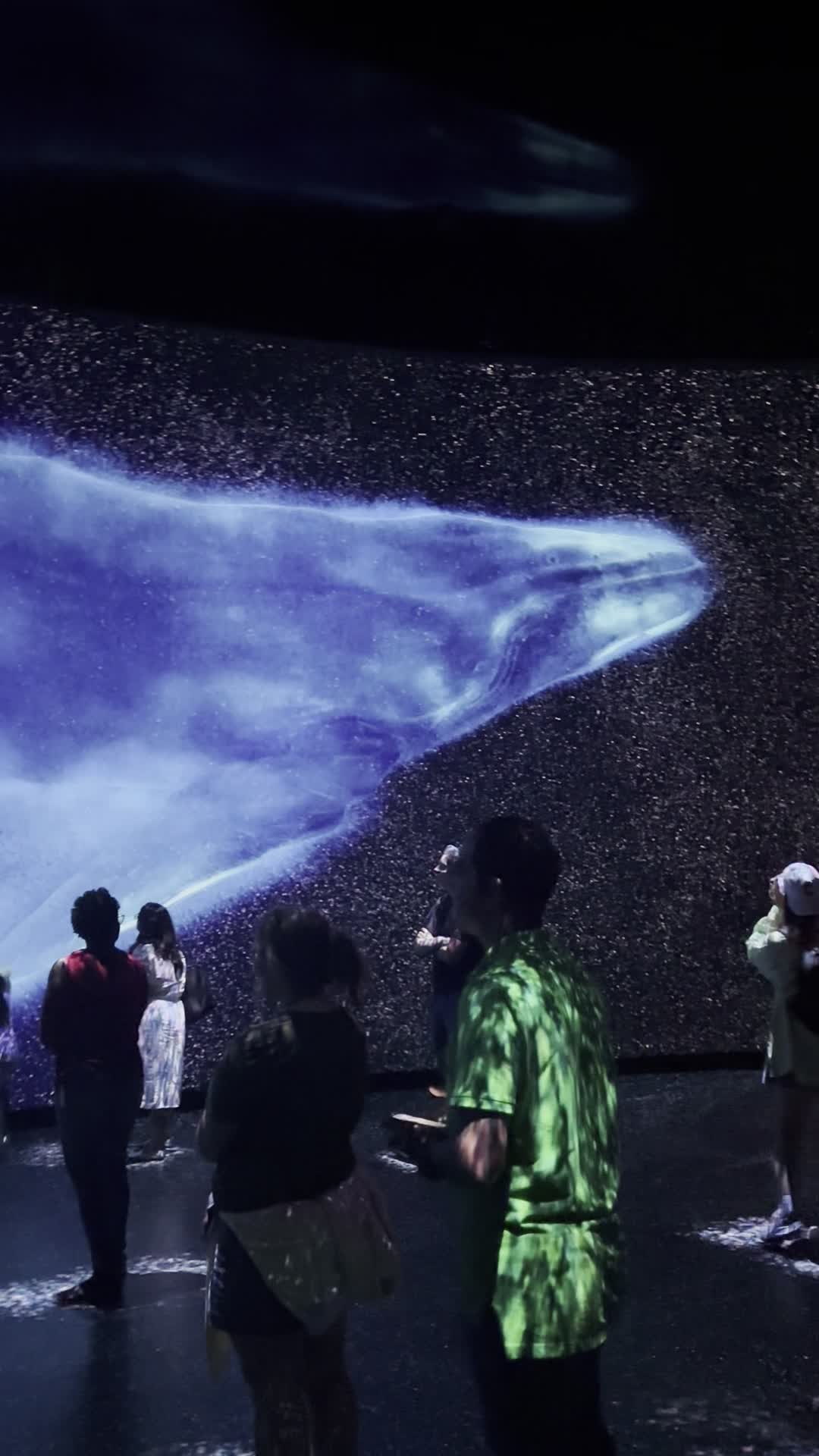 Video review of American Museum of Natural History