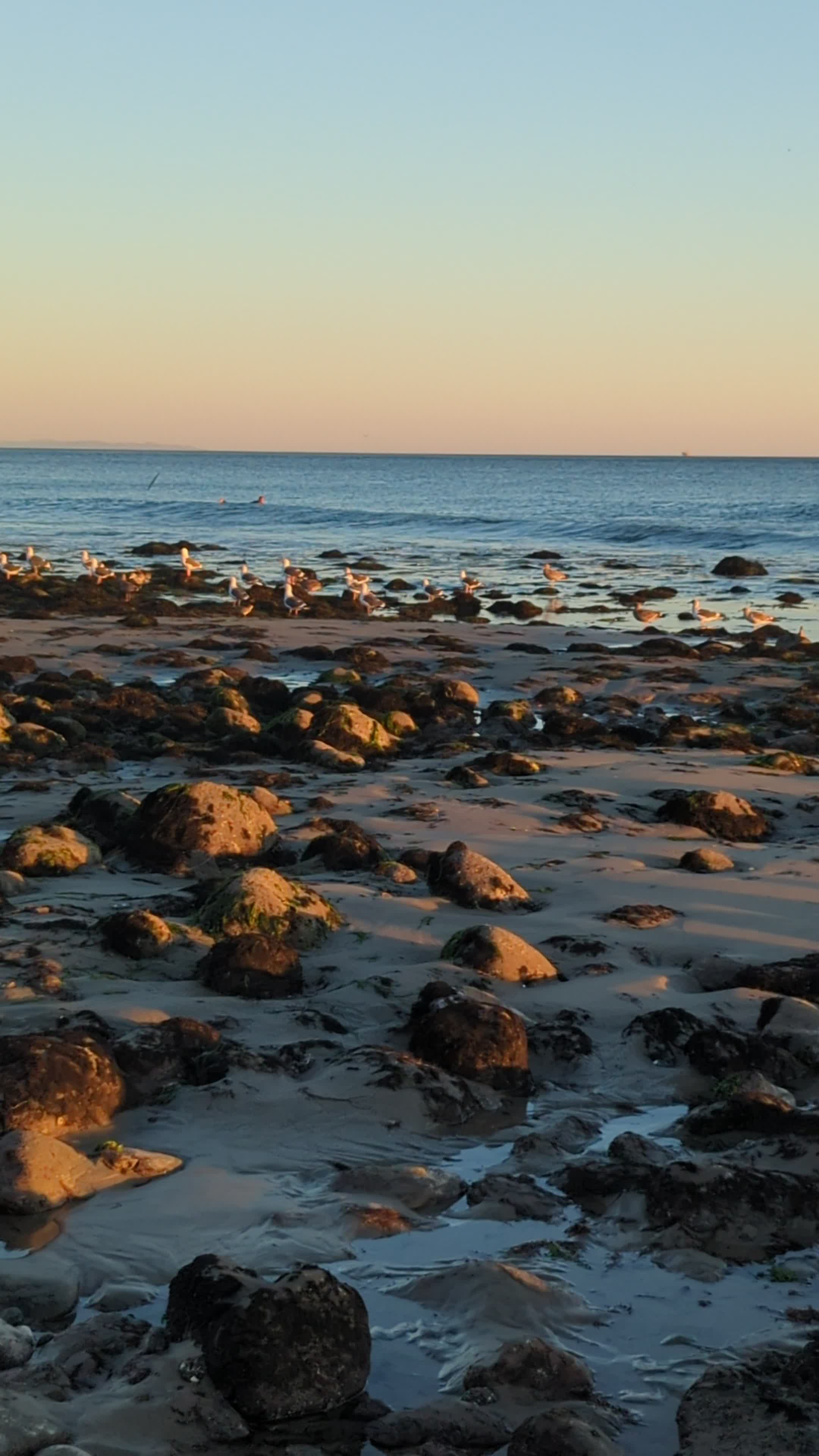 Video review of Butterfly Beach