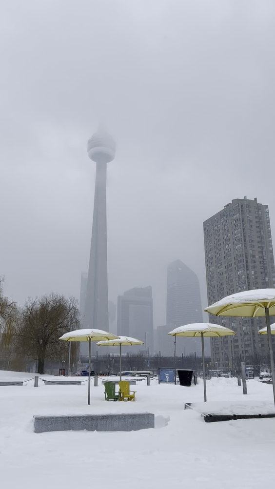 Harbourfront Park