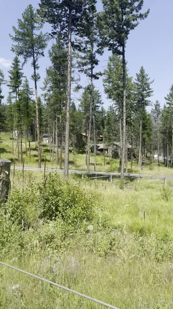 Flathead Lake Alpine Coaster