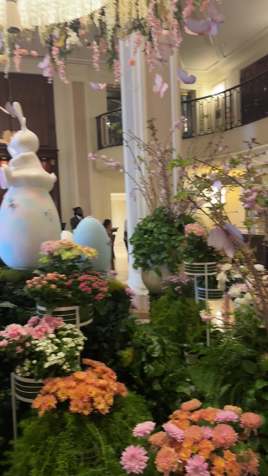 Video review of THE Blvd