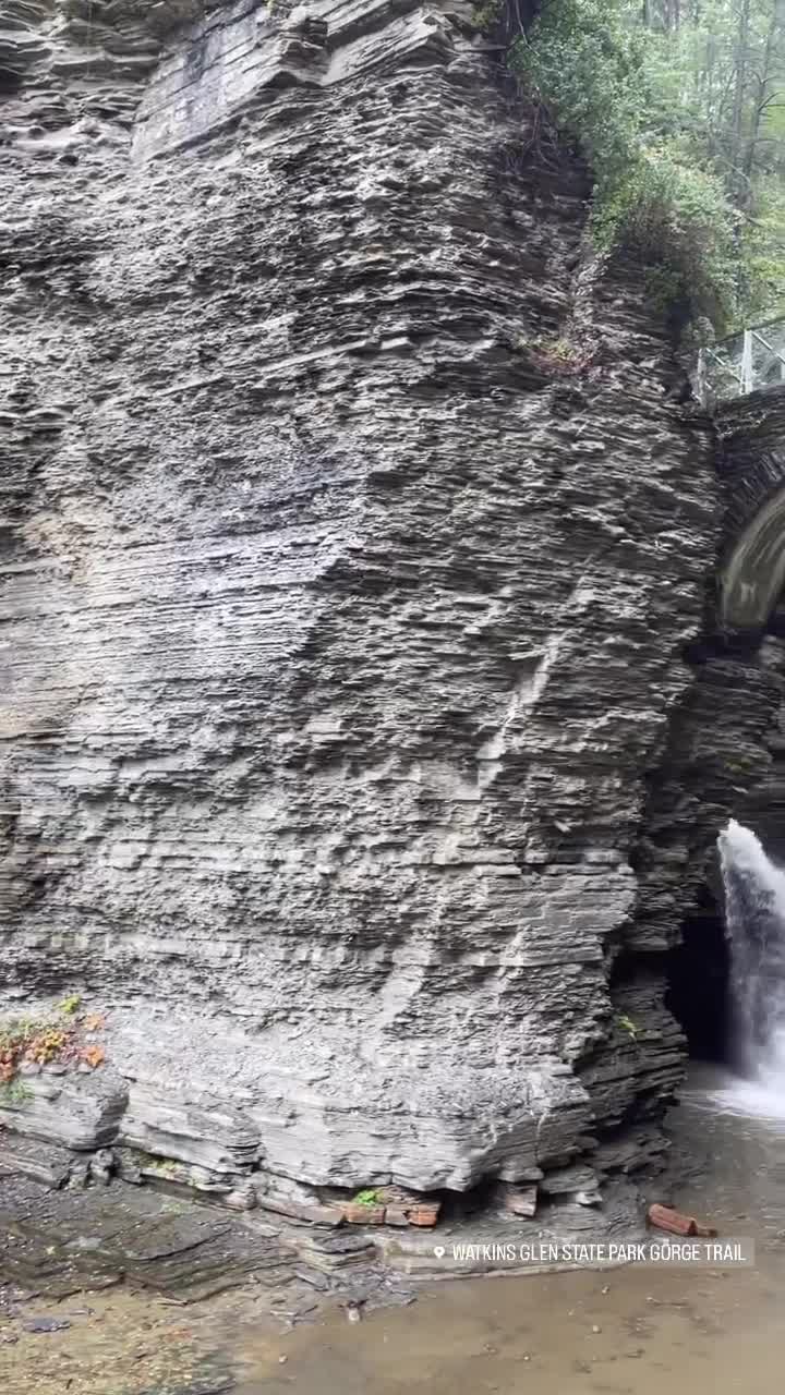 Video review of Watkins Glen State Park