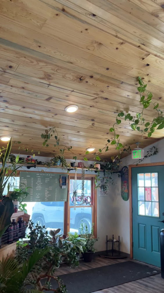 Moon Frog Coffee Shop & Roaster