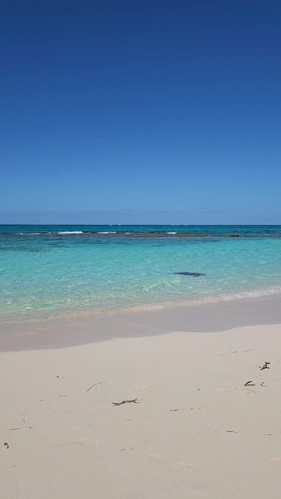 Love Beach