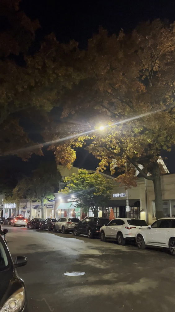 Purdy Avenue