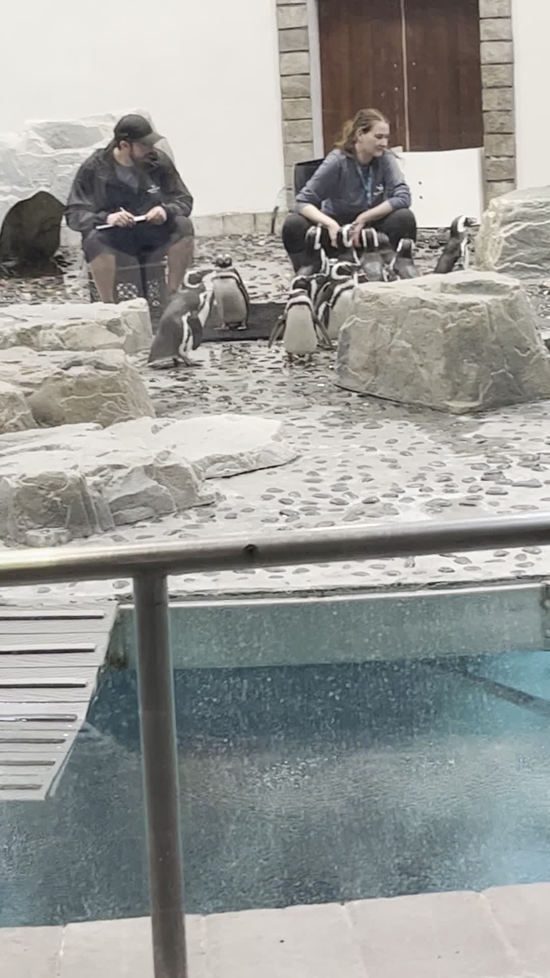 Marineland