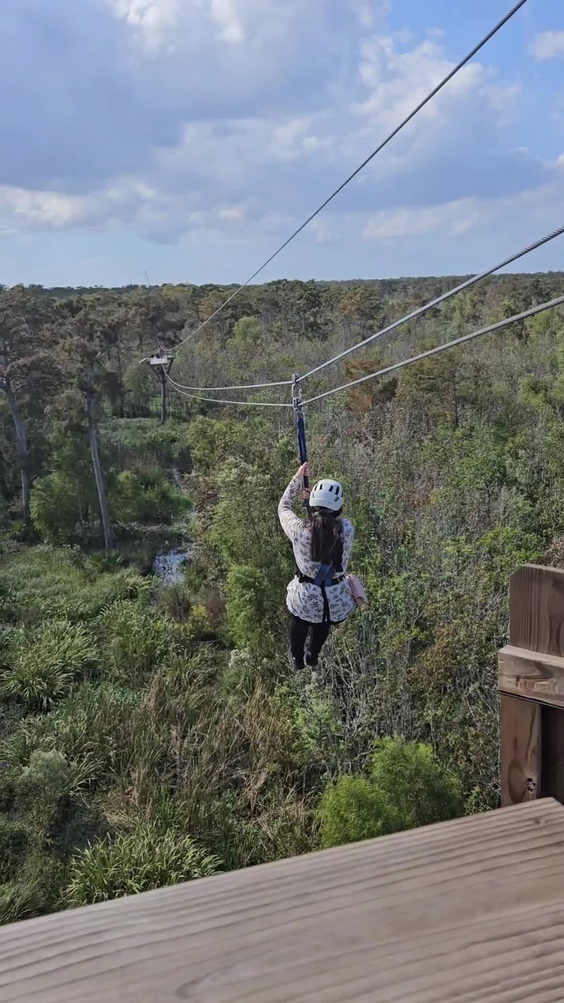Zip Nola Laplace