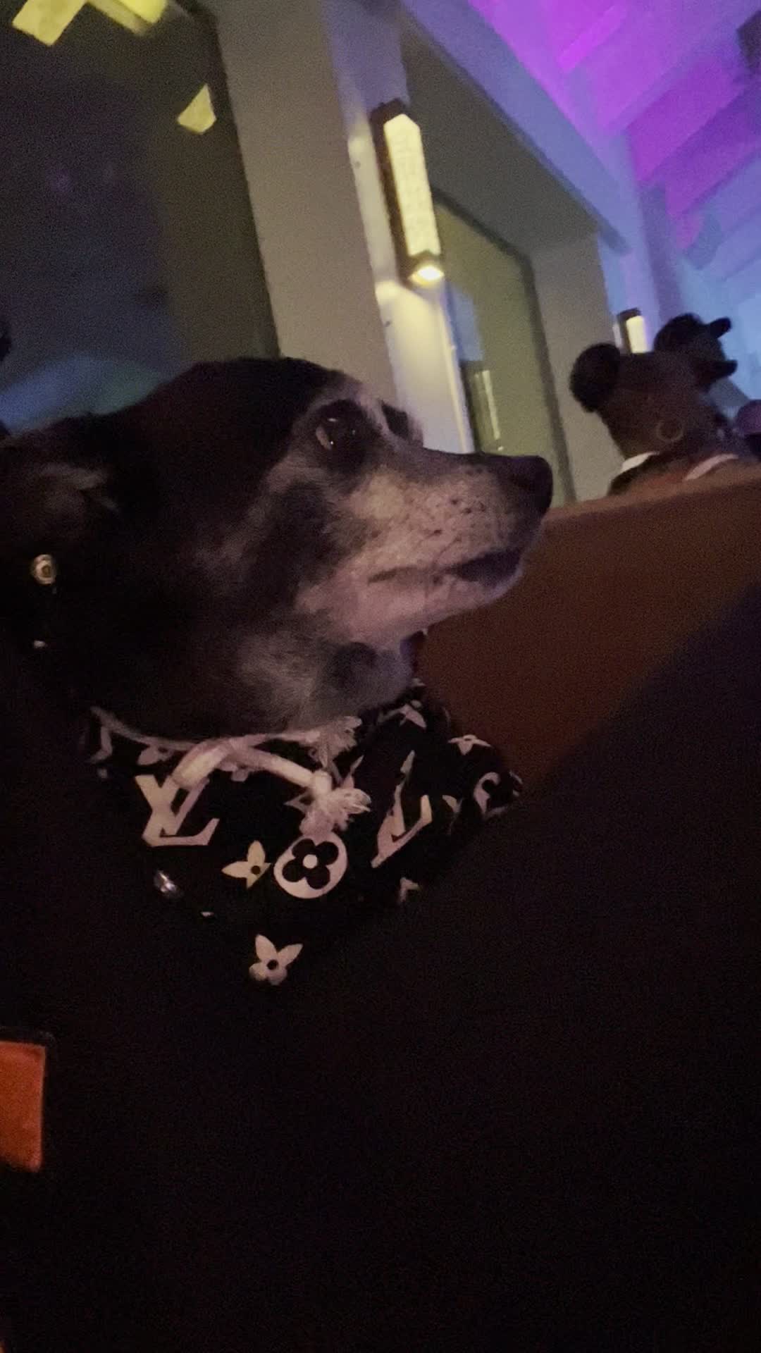 Penninsula Point Park