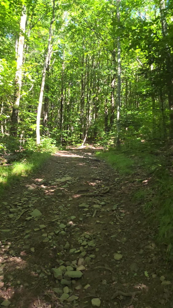 Bramley Mountain Trail