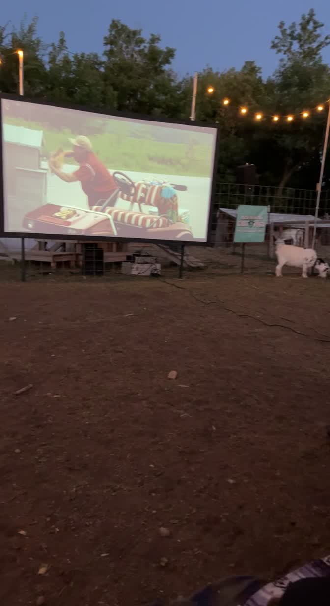Rocky Mountain Goat Yoga