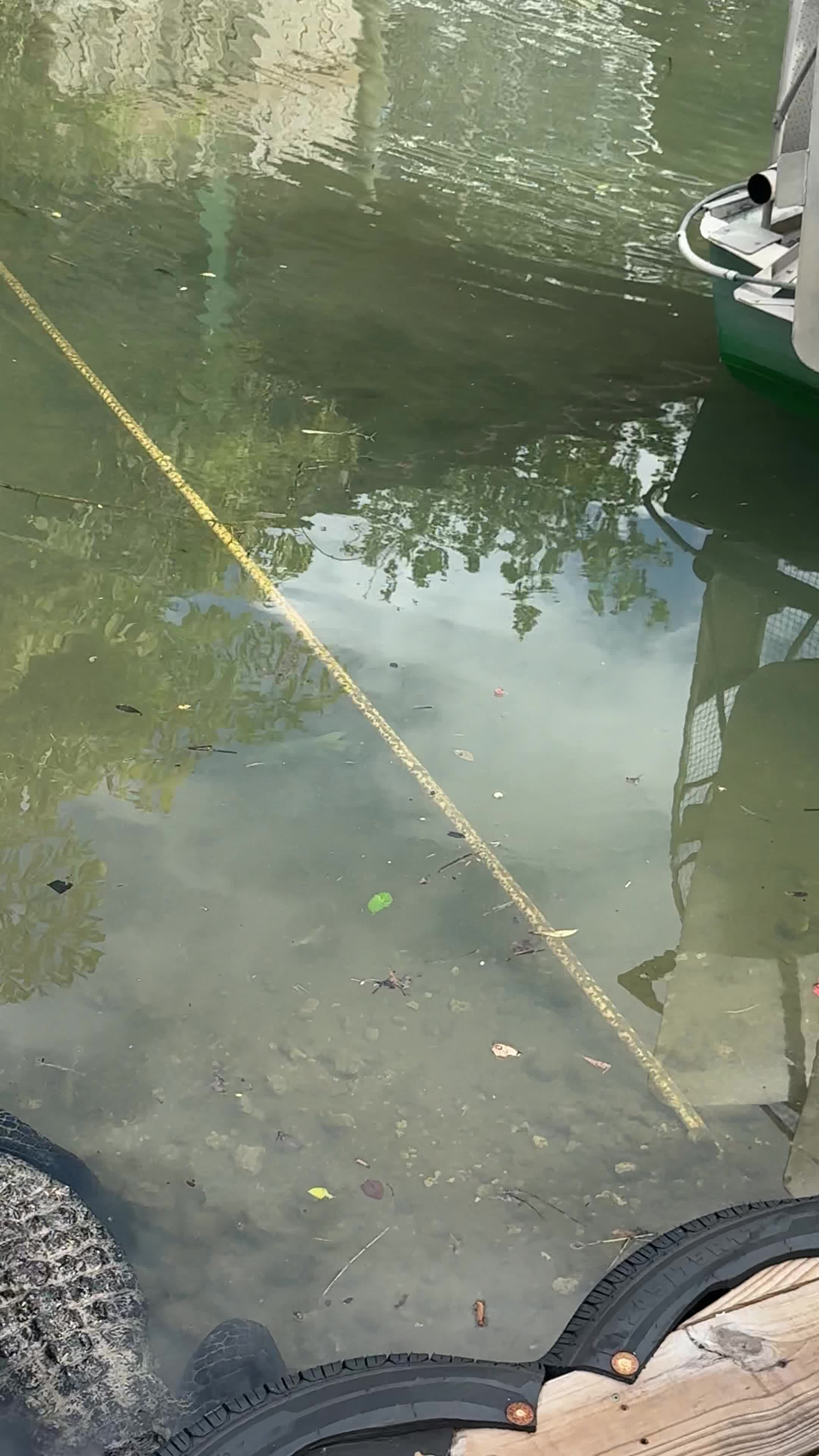 Everglades Hummer Adventures ‑