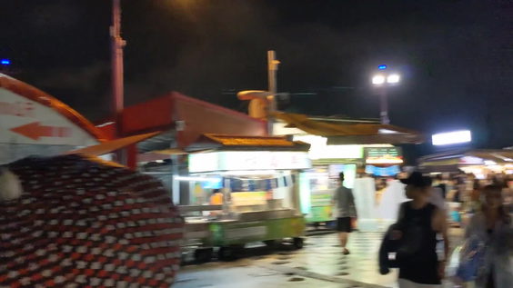 Fengchia Night Market 逢甲夜市