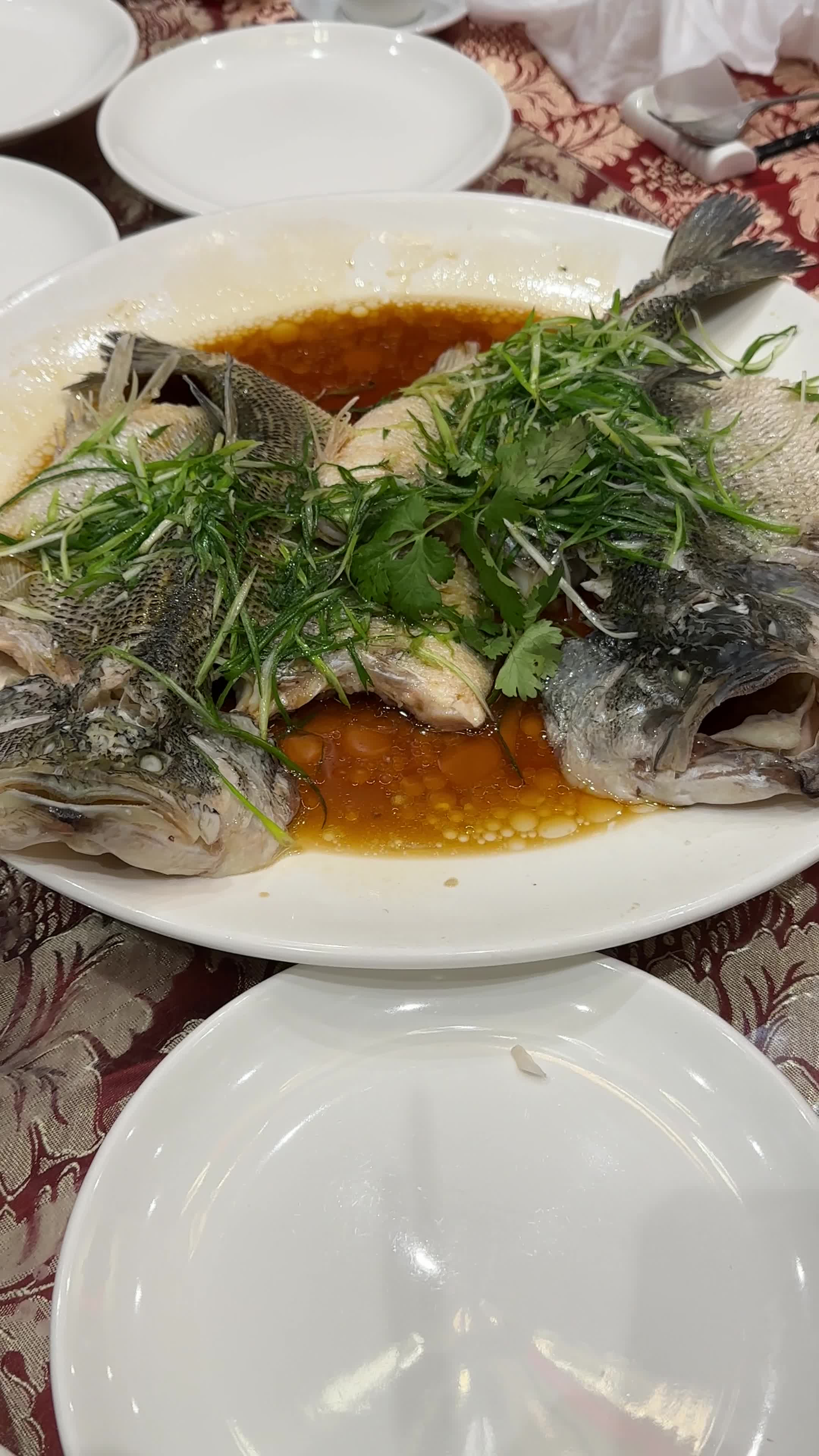 Video review of Fishman Wharf Seafood Restaurant 漁人碼頭