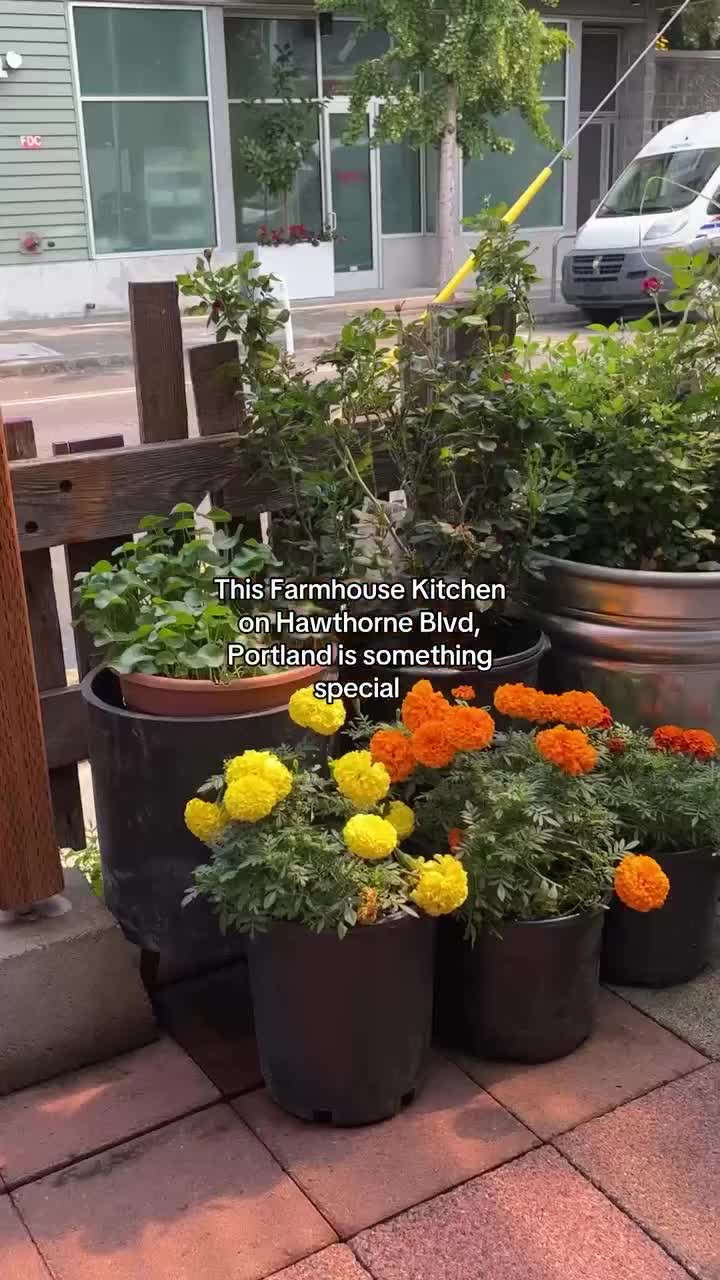 Farmhouse Kitchen Thai Cuisine