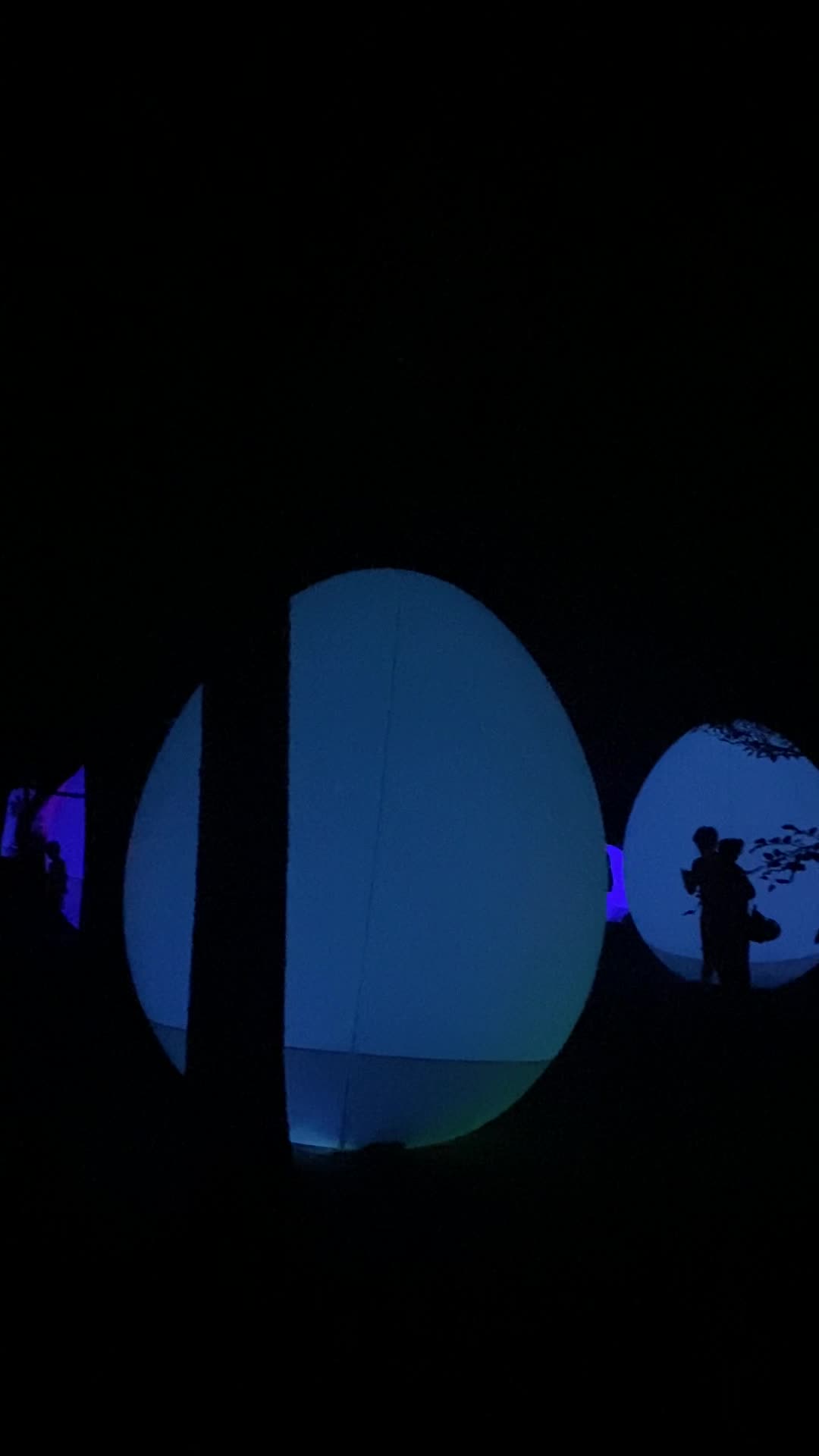 teamLab Botanical Garden Osaka