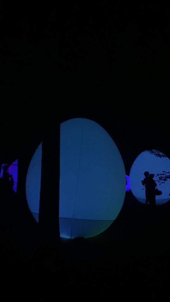 teamLab Botanical Garden Osaka