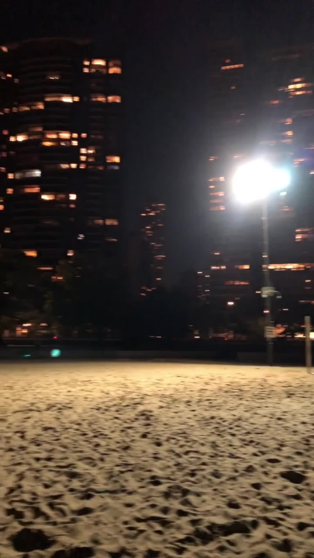 Oak Street Beach Vollyball