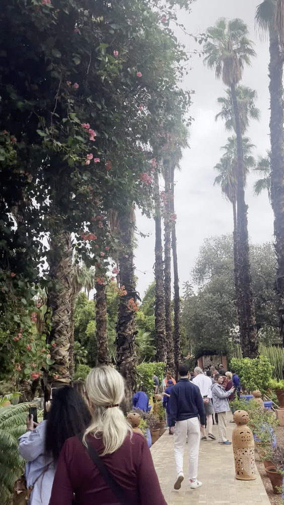 Majorelle Gardens (حديقة ماجوريل)
